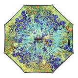 Topsy-Turvy Umbrellas
