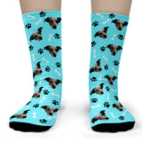 Dog Socks 2B Light Blue