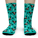 Dog Socks 2I Teal