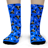 Dog Socks 2J Royal Blue